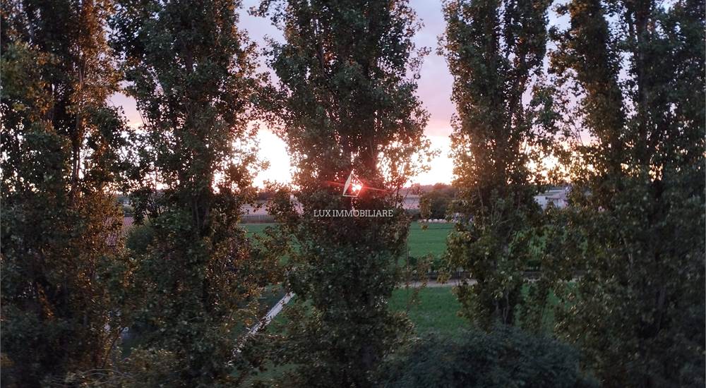 Vista