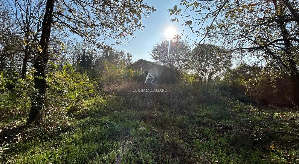 Casolare Rustico con terreno
