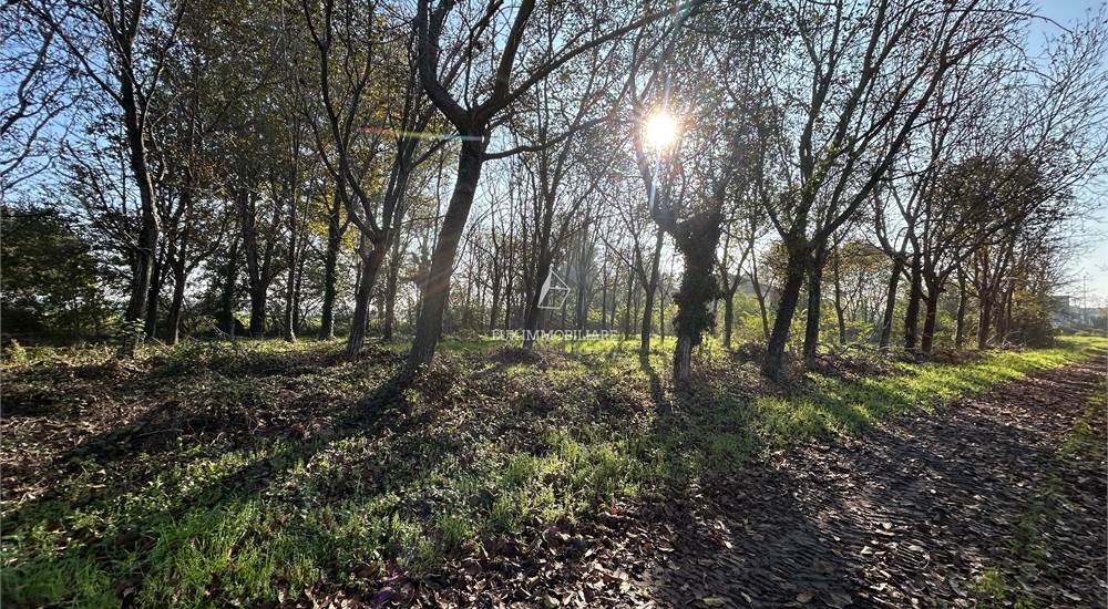 Casolare Rustico con terreno