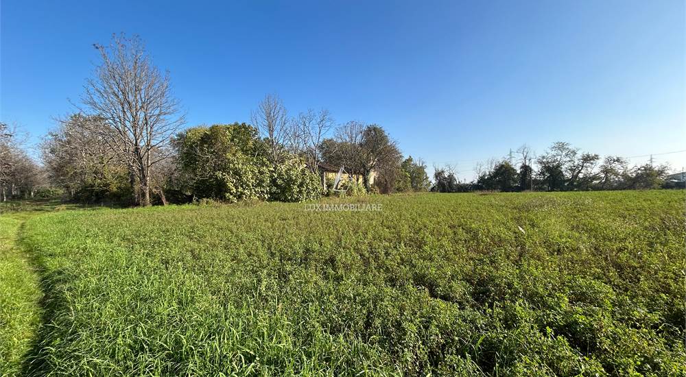 Casolare Rustico con terreno