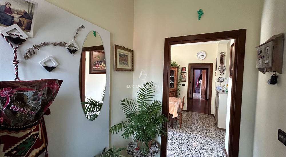 ingresso